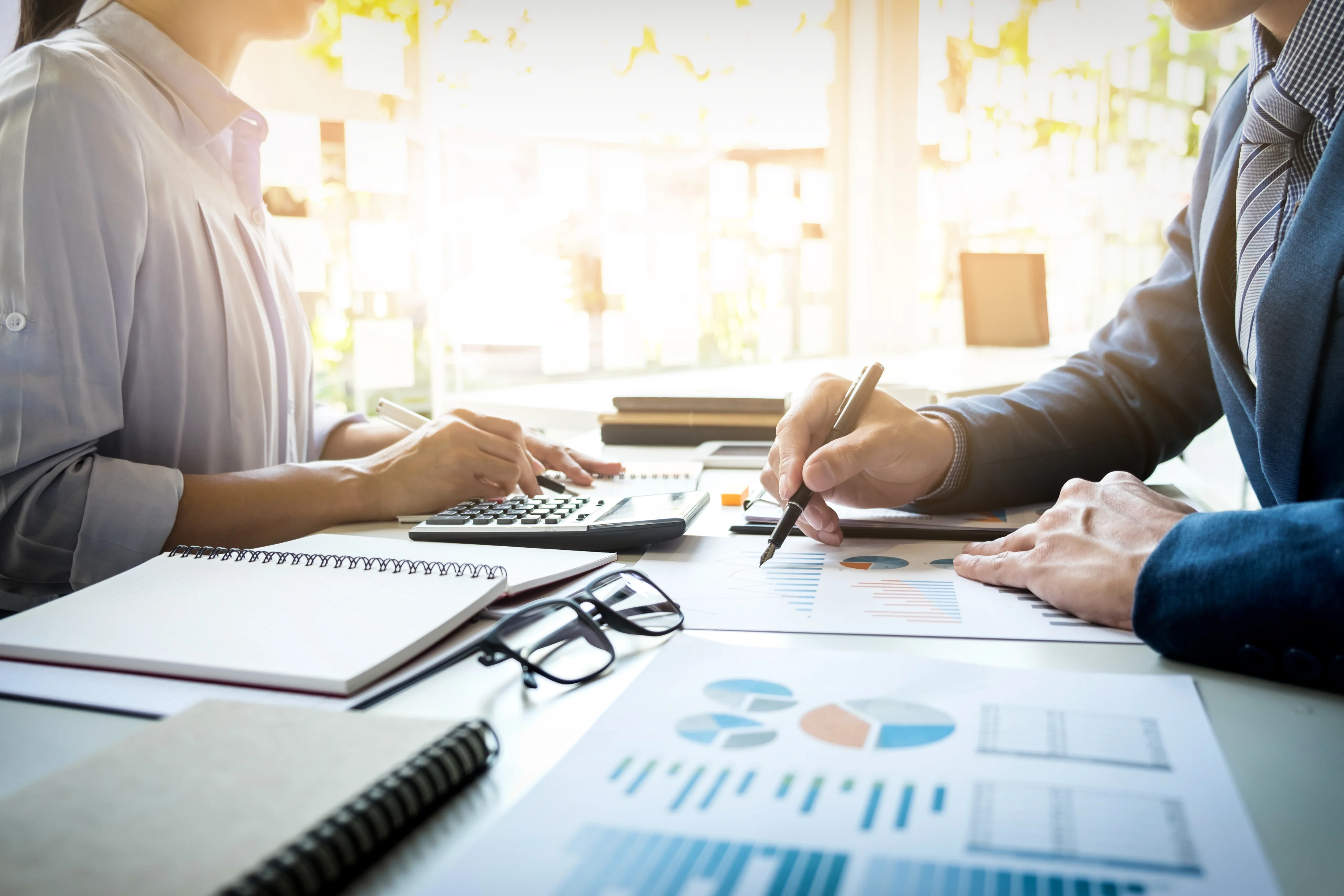 Secretarial Audit
